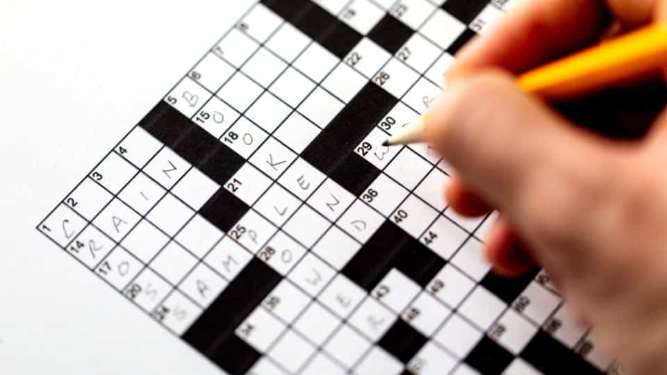 מההתחלה ועד הסוף – כך תפתרו תשחץ בצורה נכונה